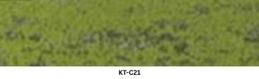 KT-C21