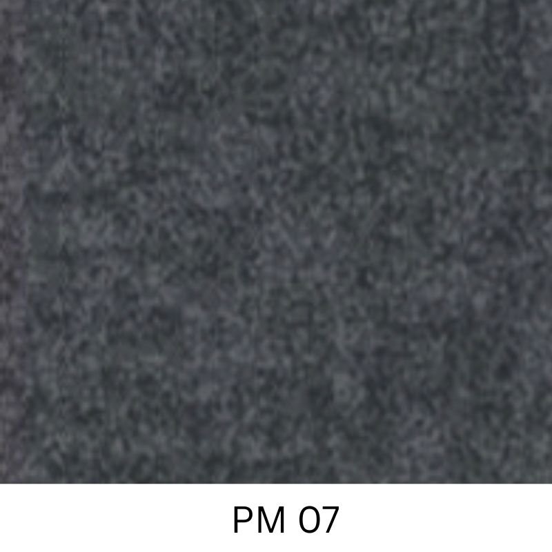 PM 07