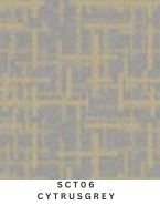 S C T 0 6 C Y T R U S G R E Y