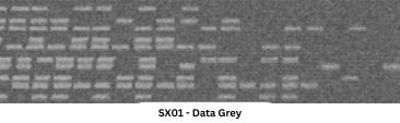 SX01 - Data Grey