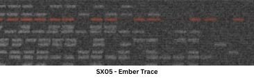 SX05 - Ember Trace