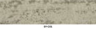 SY-C01
