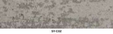 SY-C02