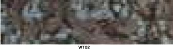 WT02