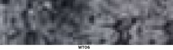 WT06