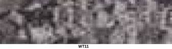 WT11